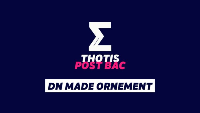 DN MADE ORNEMENT