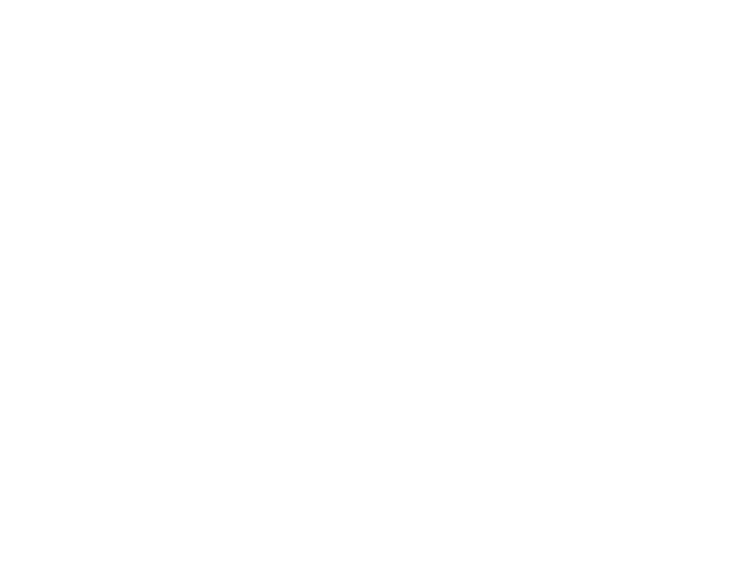 Ensta logotype 05 blanc rvb